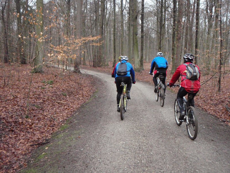 Waldtour 052